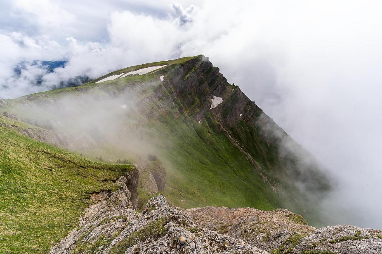 Gruenes Allgaeu Simon Held Opfenbach Dış mekan fotoğraf